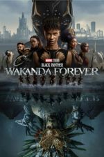 Black Panther: Wakanda Forever wootly
