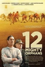 Watch 12 Mighty Orphans Wootly