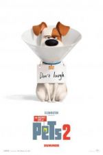 Watch The Secret Life of Pets 2 Wootly