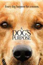 Watch A Dog's Purpose Wootly