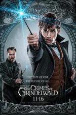 Watch Fantastic Beasts: The Crimes of Grindelwald Wootly