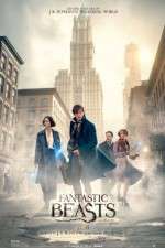 Watch Fantastic Beasts and Where to Find Them Wootly