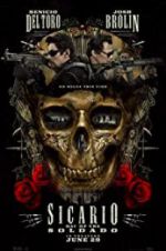 Watch Sicario: Day of the Soldado Wootly