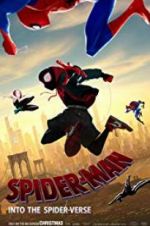 Watch Spider-Man: Into the Spider-Verse Wootly