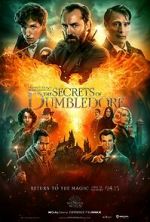 Watch Fantastic Beasts: The Secrets of Dumbledore Wootly