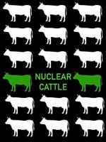 Watch Nuclear Cattle Wootly