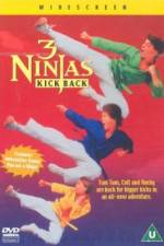 Watch 3 Ninjas Kick Back Wootly