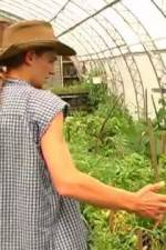 Watch Green House Seeds Strain Hunters India Expedition Wootly