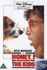 Watch Honey, I Shrunk the Kids Wootly