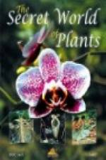 Watch The Secret World of Plants Wootly