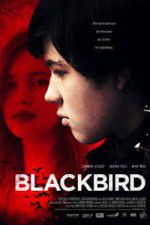 Watch Blackbird Wootly