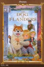 Watch The Dog of Flanders Wootly