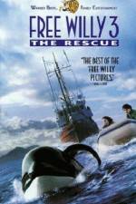 Watch Free Willy 3 The Rescue Wootly