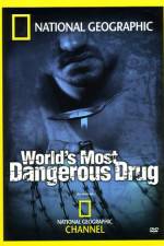 Watch Worlds Most Dangerous Drug Wootly