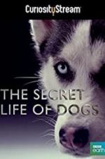 Watch Secret Life of Dogs Wootly