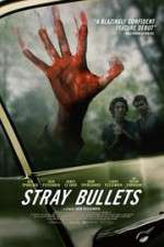 Watch Stray Bullets Wootly