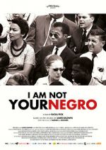 Watch I Am Not Your Negro Wootly