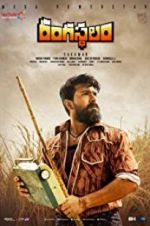 Watch Rangasthalam Wootly