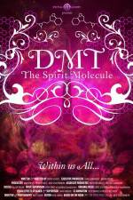 Watch DMT The Spirit Molecule Wootly