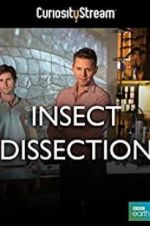 Watch Insect Dissection: How Insects Work Wootly
