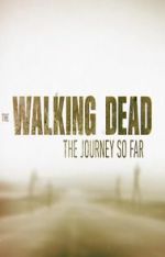 Watch The Walking Dead: The Journey So Far Wootly