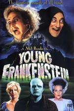 Watch Young Frankenstein Wootly