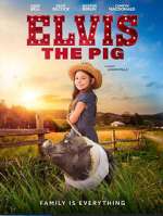 Watch Elvis the Pig Wootly