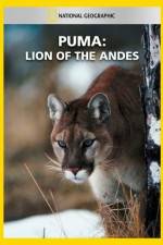 Watch National Geographic Puma: Lion of the Andes Wootly