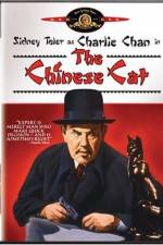 Watch Charlie Chan in The Chinese Cat Wootly