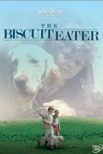 Watch The Biscuit Eater Wootly