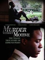 Watch Murder Without Motive: The Edmund Perry Story Wootly