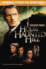 Watch House on Haunted Hill Wootly