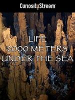 Watch Life 2,000 Meters Under the Sea Wootly