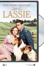 Watch Son of Lassie Wootly