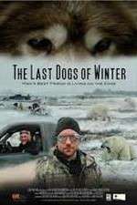 Watch The Last Dogs of Winter Wootly