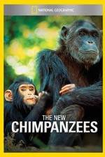 Watch The New Chimpanzees Wootly