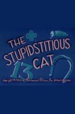 Watch The Stupidstitious Cat Wootly