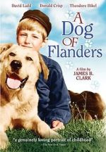 Watch A Dog of Flanders Wootly