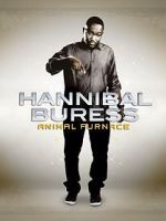 Watch Hannibal Buress: Animal Furnace Wootly