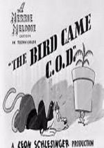 Watch The Bird Came C.O.D. (Short 1942) Wootly
