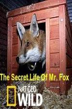 Watch The Secret Life of Mr. Fox Wootly