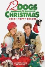 Watch 12 Dogs of Christmas Great Puppy Rescue Wootly