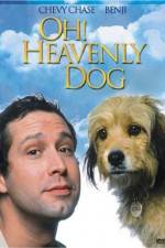 Watch Oh Heavenly Dog Wootly