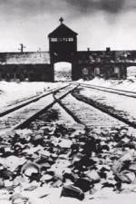 Watch AUSCHWITZ: CORRUPTION Wootly