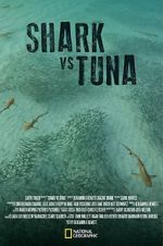 Watch Shark vs Tuna Wootly