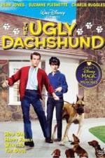 Watch The Ugly Dachshund Wootly