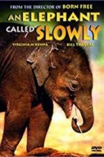 Watch An Elephant Called Slowly Wootly