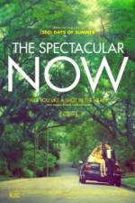 Watch The Spectacular Now Wootly