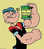 Watch Popeye the Sailor Wootly