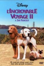 Watch Homeward Bound II Lost in San Francisco Wootly